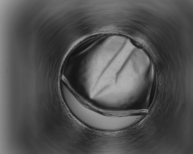 X0000052591288200507152335