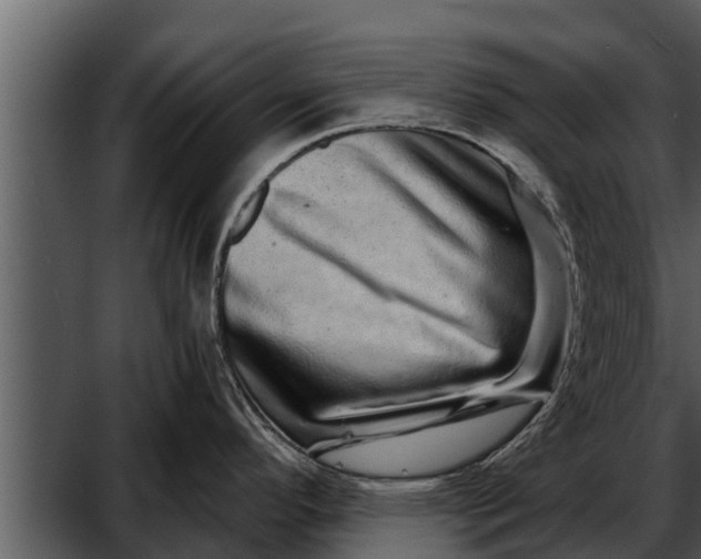 X0000052591296200507152335
