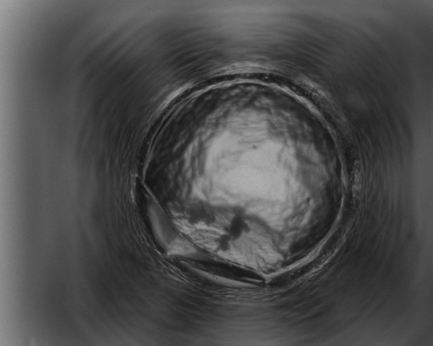 X0000052591313200507152334