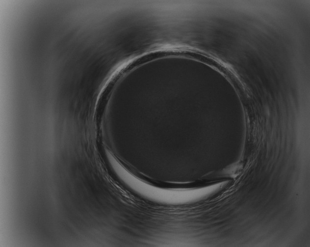 X0000052591319200507152334