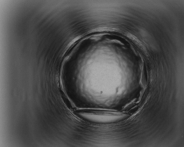 X0000052591321200507152334