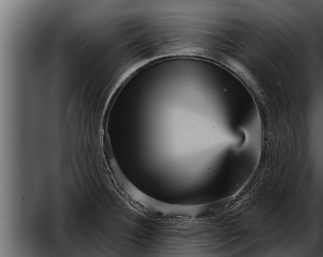X0000052591332200507152334