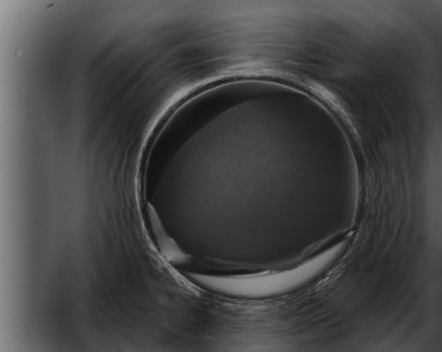 X0000052591334200507152334