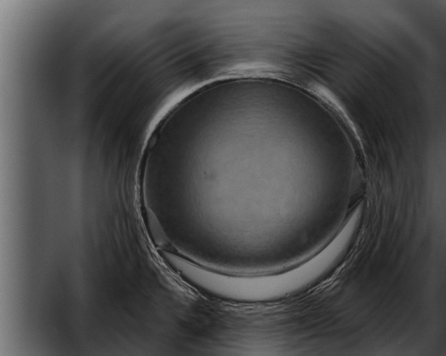 X0000052591336200507152335