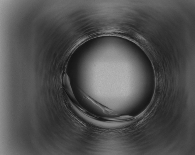 X0000052591361200507152334
