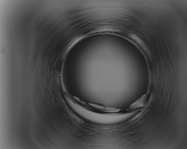 X0000052591369200507152333
