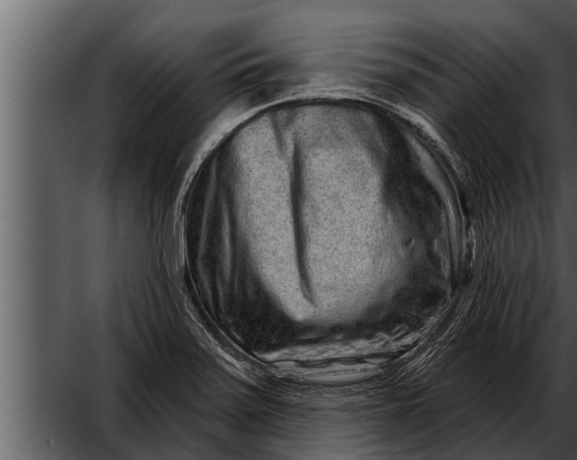 X0000052591371200507152333