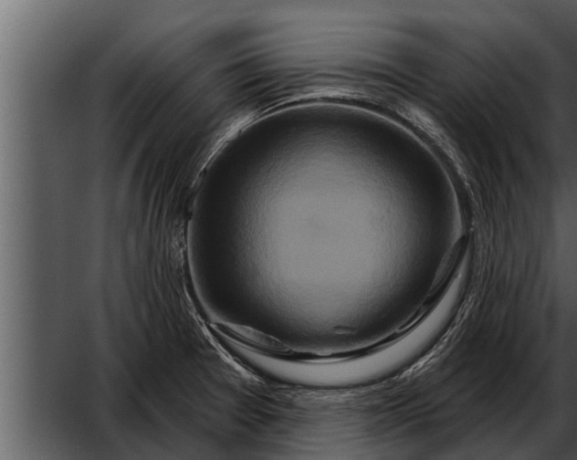 X0000052591377200507152333