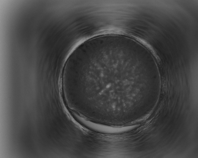X0000052591383200507152333