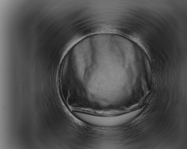X0000052591387200507152333