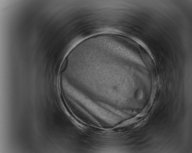 X0000052591391200507152333