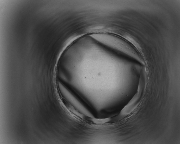 X0000052591392200507152333