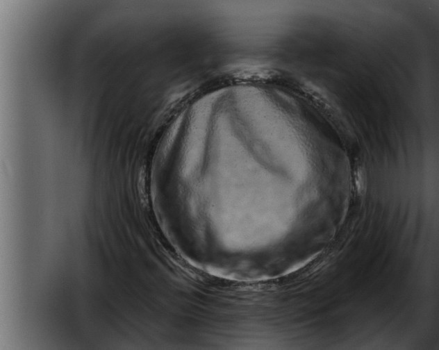 X0000052591396200507152332