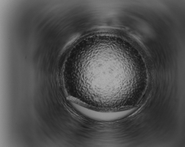 X0000052591403200507152332