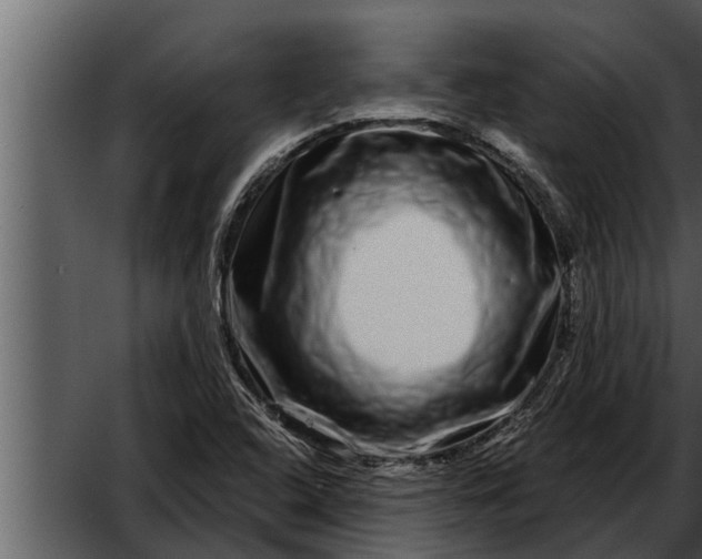 X0000052591408200507152332