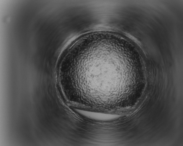 X0000052591415200507152333
