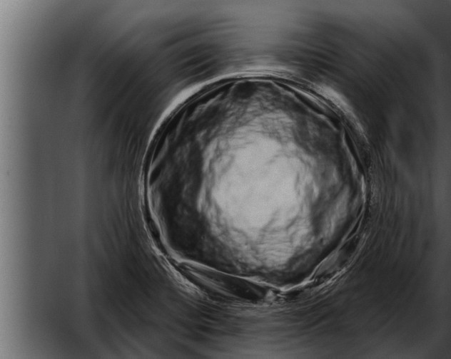 X0000052591420200507152333