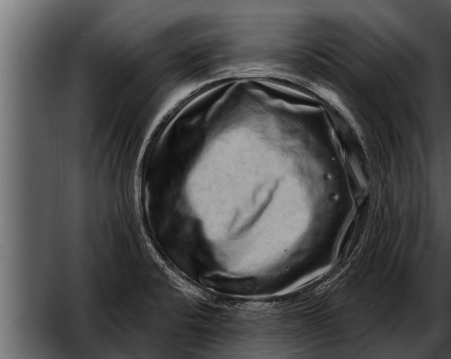 X0000052591424200507152333