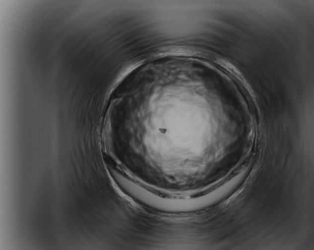 X0000052591433200507152333
