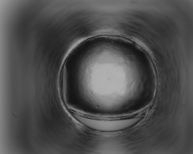 X0000052591440200507152333