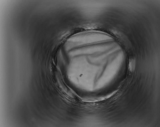 X0000052591444200507152332