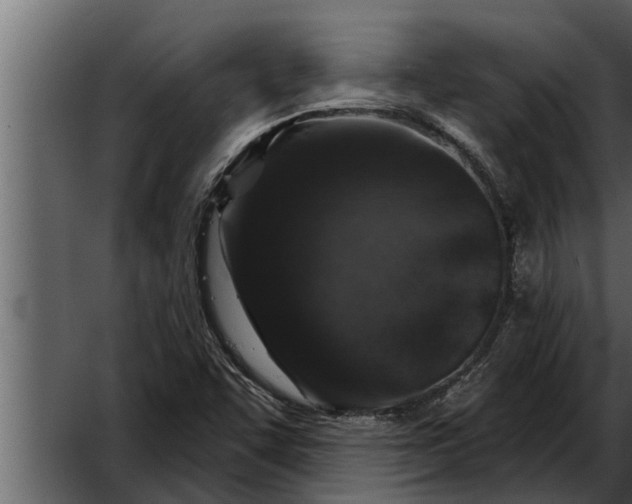 X0000052591455200507152332