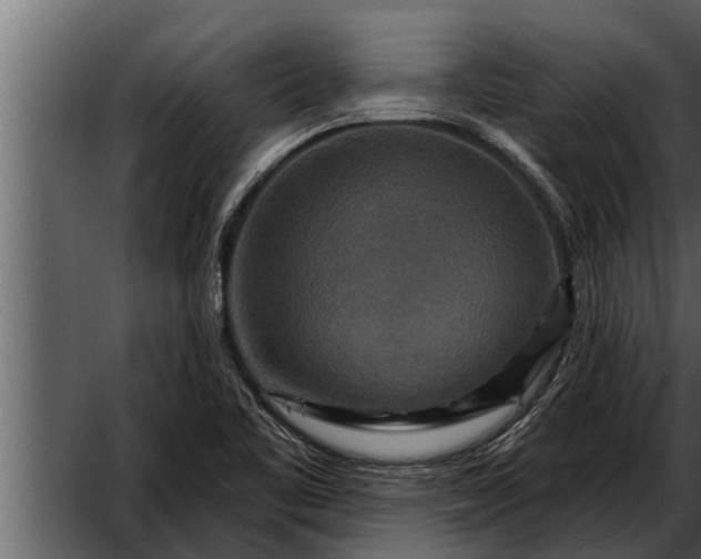 X0000052591461200507152332
