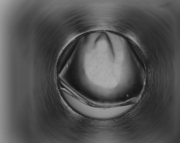 X0000052591468200507152332