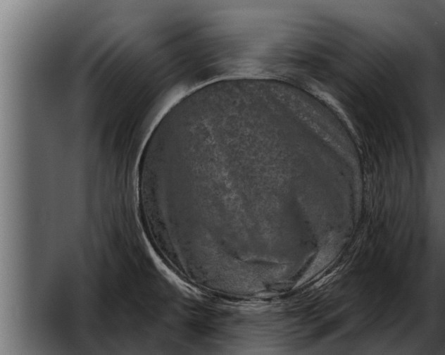 X0000052591479200507152332