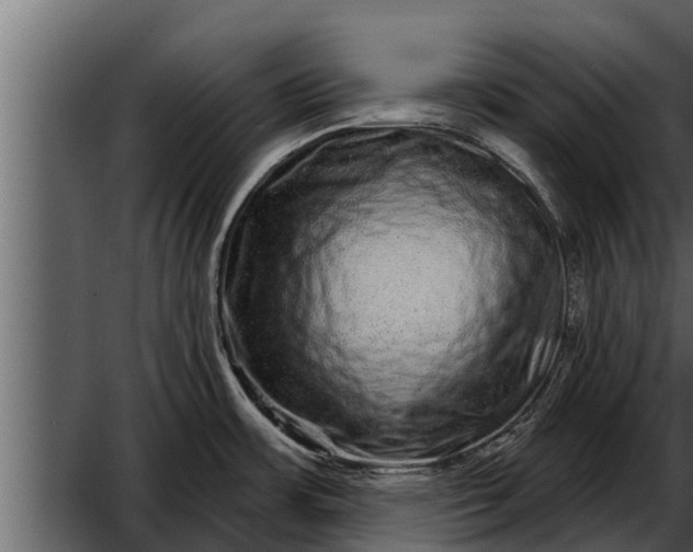 X0000052591483200507152331
