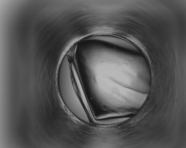 X0000052591488200507152331