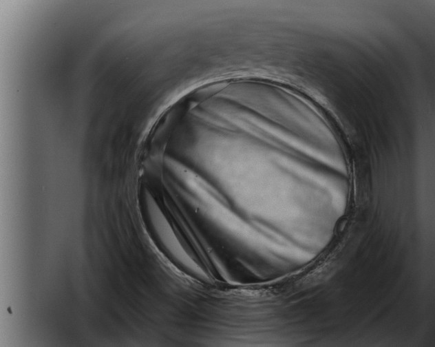 X0000052591500200507152331