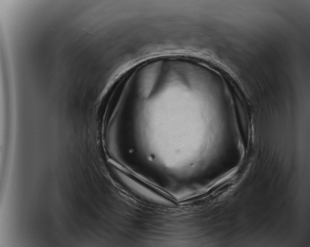 X0000052591501200507152331