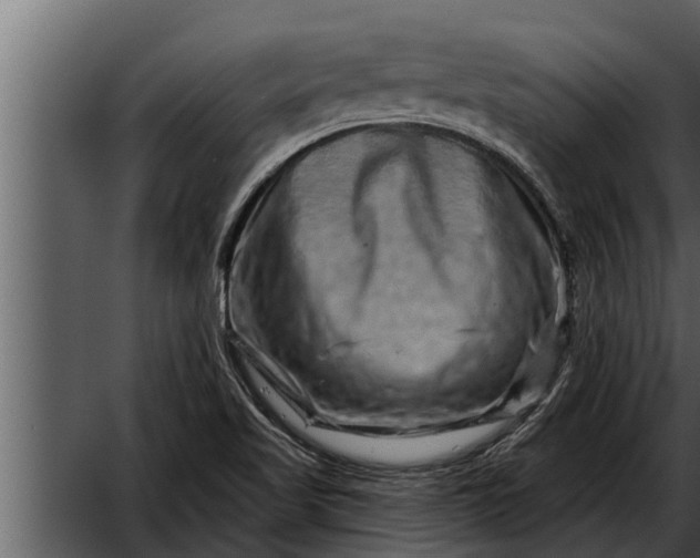 X0000052591509200507152331