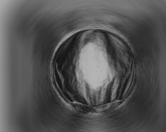 X0000052591517200507152331