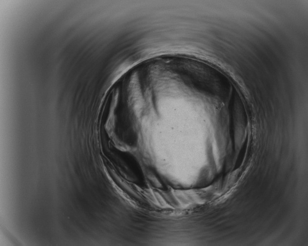 X0000052591521200507152331