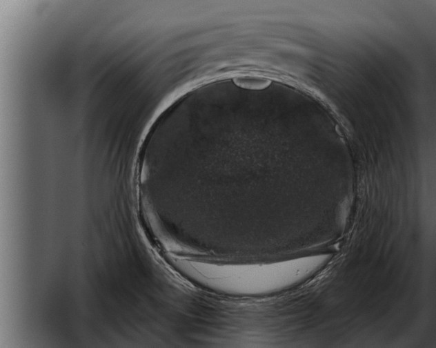 X0000052591522200507152331
