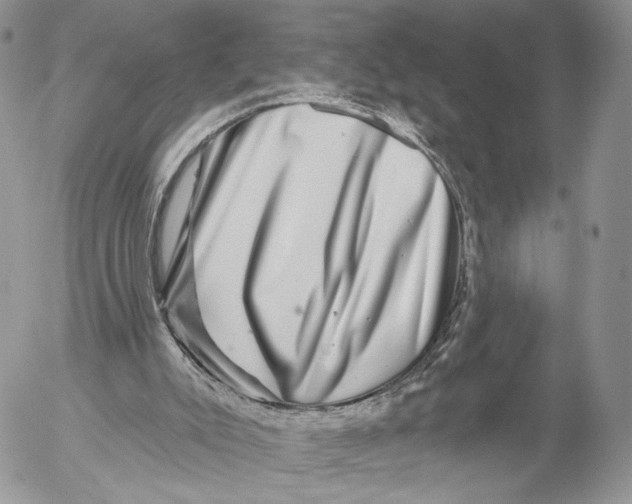 X0000052590007200507221620