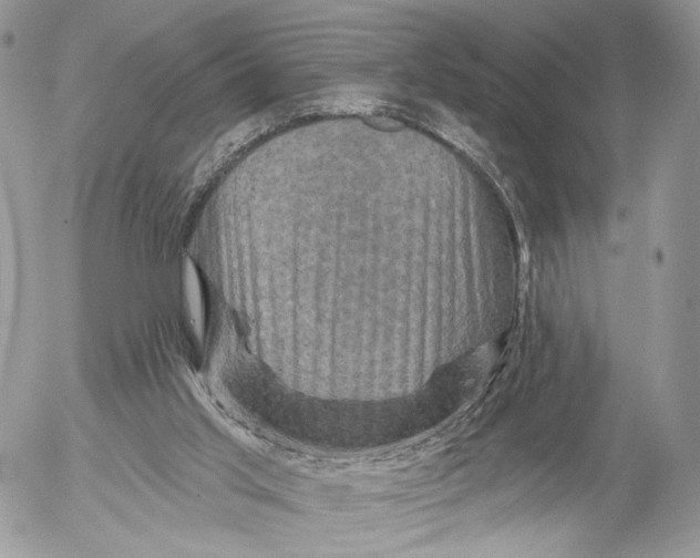 X0000052590013200507221620