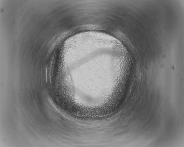 X0000052590014200507221620