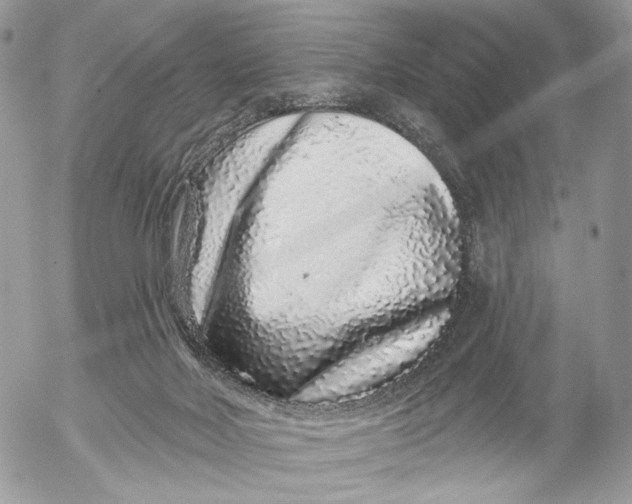 X0000052590026200507221620