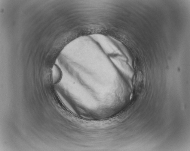X0000052590034200507221620