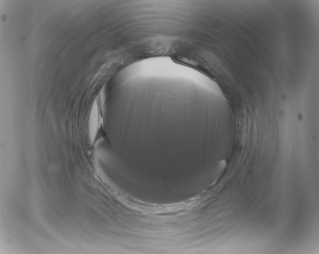 X0000052590035200507221620