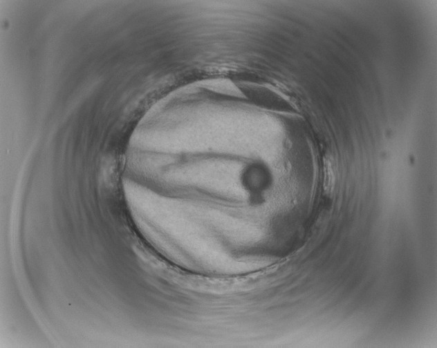 X0000052590037200507221620
