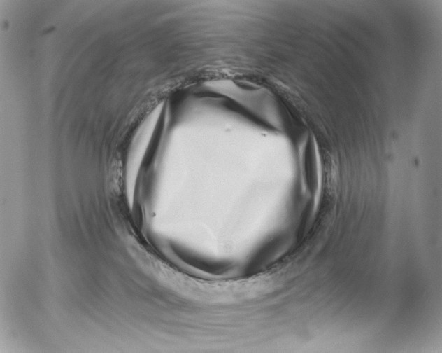 X0000052590038200507221620