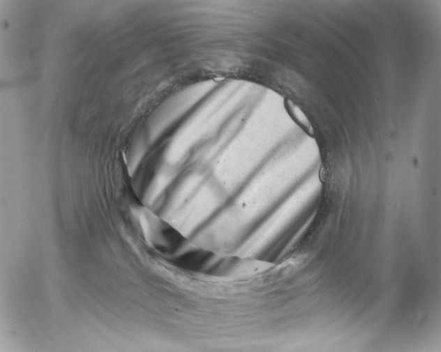 X0000052590040200507221620