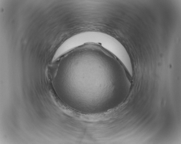X0000052590041200507221620