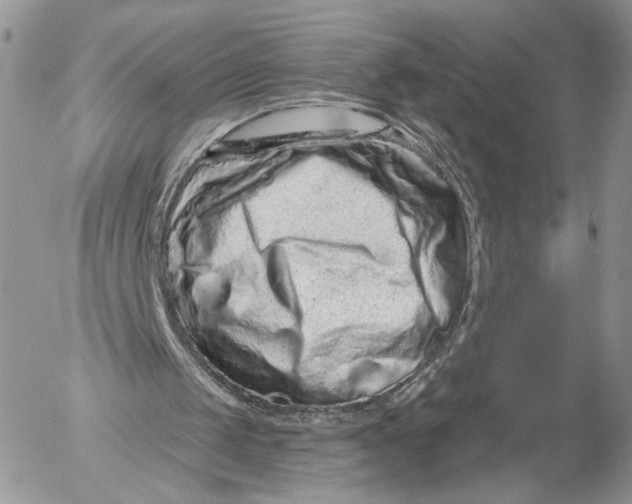 X0000052590049200507221619