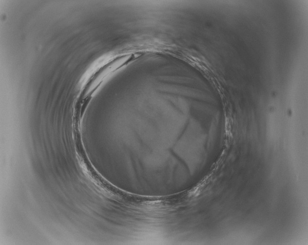 X0000052590054200507221619