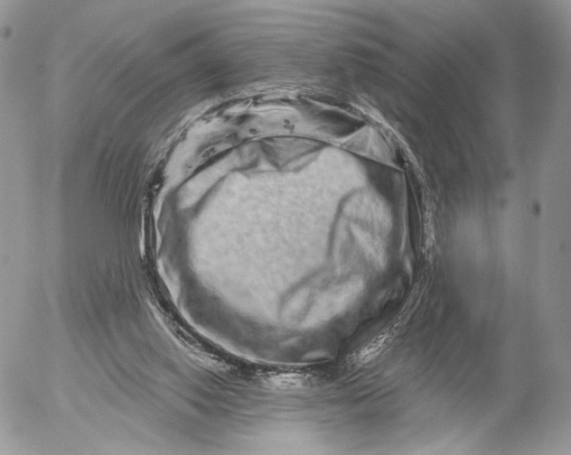 X0000052590062200507221619